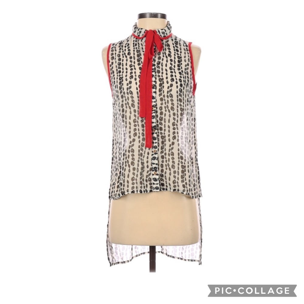 Sleeveless Sheer Blouse